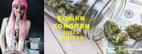 стаф Зерноград