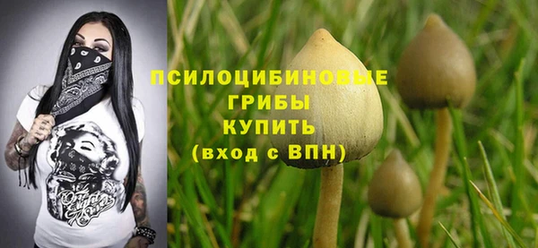 стаф Зерноград